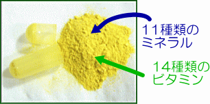 マルチミネラルビタミン ニューサイエンス